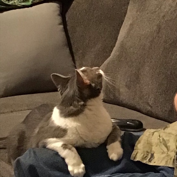 Meet your Posher, Dianna - Picture 1 of 1